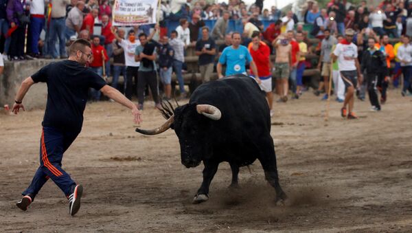 Toro de la Peña - Sputnik Mundo