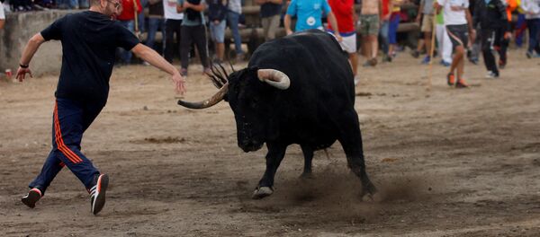 Toro de la Peña - Sputnik Mundo