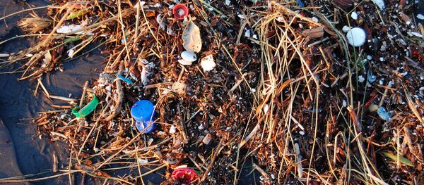 Basura en el océano - Sputnik Mundo