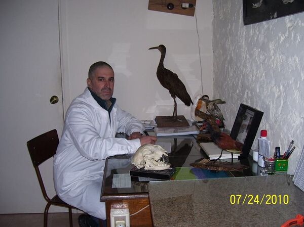 Gerardo Cantou en su gabinete Gerardo Cantou en su gabinete - Sputnik Mundo