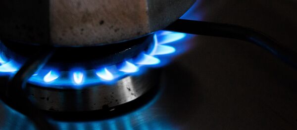 Una estufa de gas - Sputnik Mundo