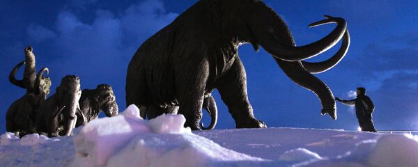 Un mamut (imagen referencial) Un mamut (imagen referencial) - Sputnik Mundo