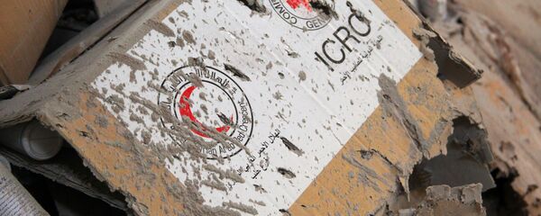 Logos de las Sociedades Nacionales de la Cruz Roja y la Media Luna Roja - Sputnik Mundo