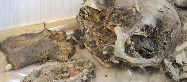 Los restos de un mamut - Sputnik Mundo