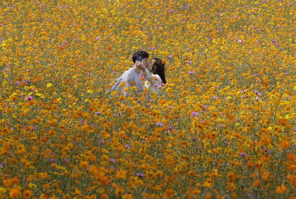 Una pareja en el Parque Olímpico de Seúl, Corea del Sur. - Sputnik Mundo