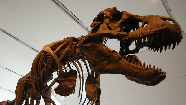 Un dinosaurio (imagen referencial) - Sputnik Mundo