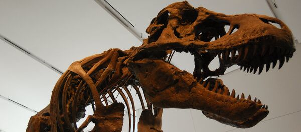 Un dinosaurio (imagen referencial) - Sputnik Mundo