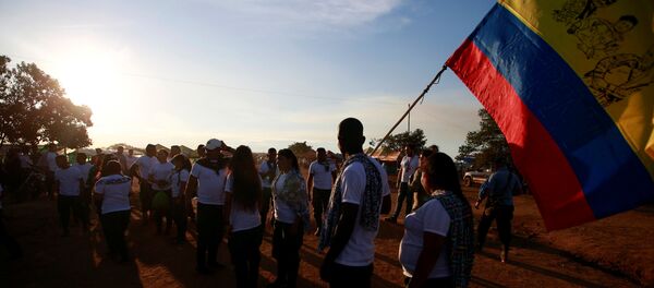 Los combatientes de las FARC (archivo) Los combatientes de las FARC (archivo) - Sputnik Mundo