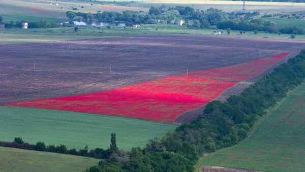 La agricultura de Crimea - Sputnik Mundo