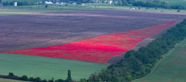 La agricultura de Crimea - Sputnik Mundo