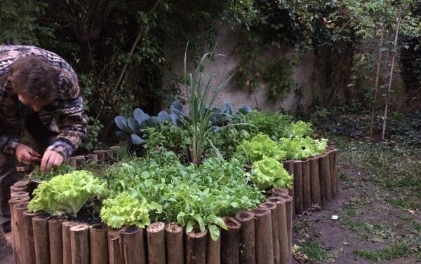 Una huerta en Uruguay - Sputnik Mundo