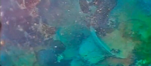 El gobierno canadiense confirmó la noticia difundida hace unos días, sobre el descubrimiento de Terror, el segundo buque de la expedición británica dirigida por Sir John Franklin que desapareció en 1846 cuando exploraba el Ártico. - Sputnik Mundo