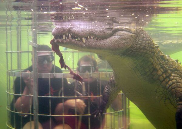 'La Jaula de la Muerte' - Sputnik Mundo