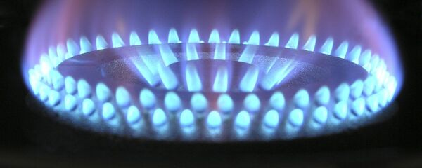 Estufa de gas Estufa de gas - Sputnik Mundo