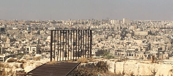 La situación en la ciudad siria de Alepo - Sputnik Mundo