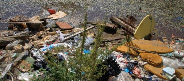 Basura flota en el agua - Sputnik Mundo