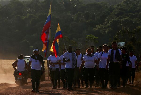 Los combatientes de las FARC Los combatientes de las FARC - Sputnik Mundo