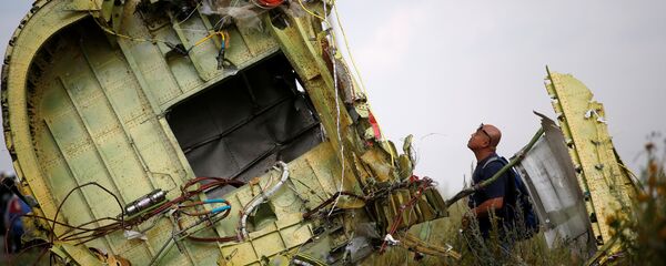 Lugar del siniestro del avión MH17 Lugar del siniestro del avión MH17 - Sputnik Mundo