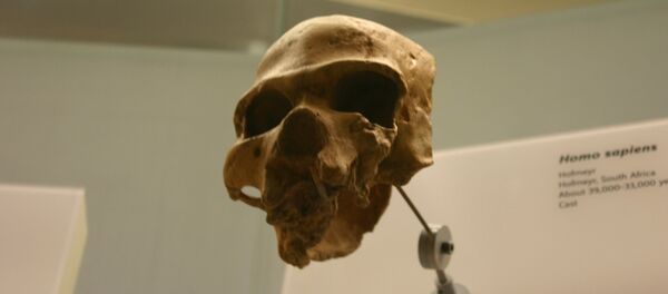 Homo sapiens Homo sapiens - Sputnik Mundo