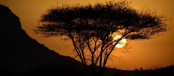 Atardecer en África - Sputnik Mundo