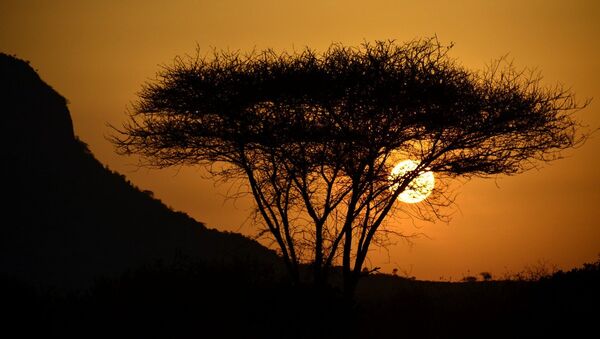 Atardecer en África - Sputnik Mundo