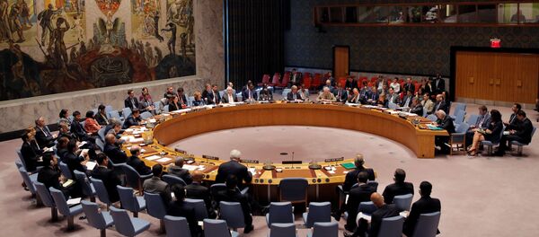Reunión del Consejo de Seguridad de Naciones Unidas - Sputnik Mundo