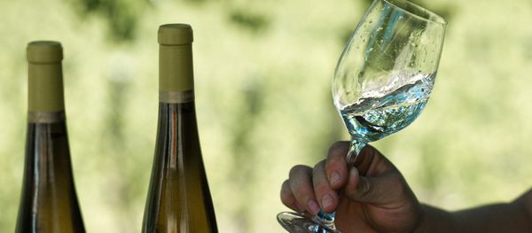 Una copa de vino - Sputnik Mundo