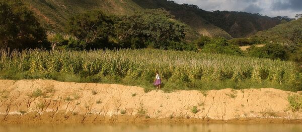 La naturaleza de Bolivia - Sputnik Mundo
