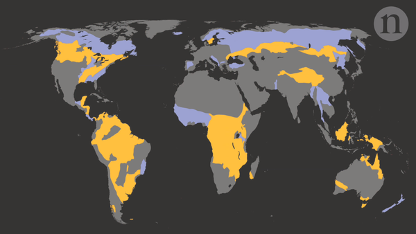 Territorios adecuados (en amarillo) y algo adecuados (en lila) para sostener a más habitantes. - Sputnik Mundo