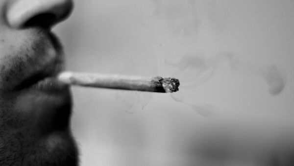 Marihuana - Sputnik Mundo