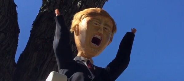 El muro de Trump: un estadounidense hace realidad el sueño del candidato presidencial - Sputnik Mundo