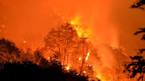 Incendio forestal (Archivo) - Sputnik Mundo