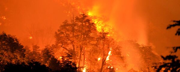 Incendio forestal (Archivo) - Sputnik Mundo
