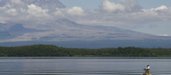 Volcán Shiveluch Volcán Shiveluch - Sputnik Mundo
