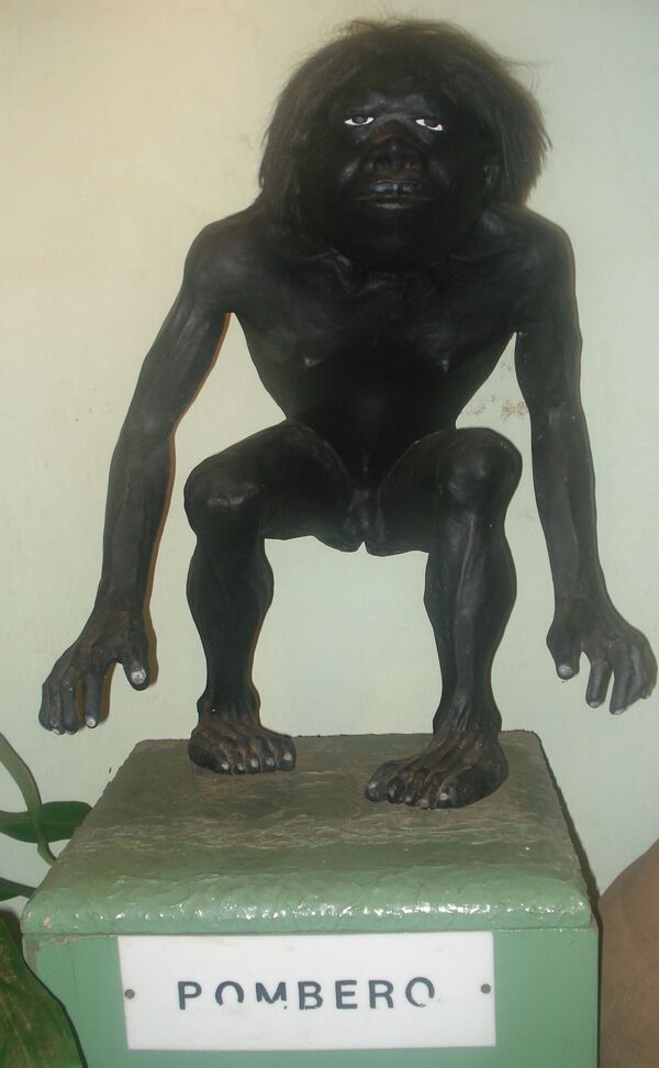 Estatua del pombero en el Museo Mitológico Ramón Elías en Capiatá, Paraguay - Sputnik Mundo