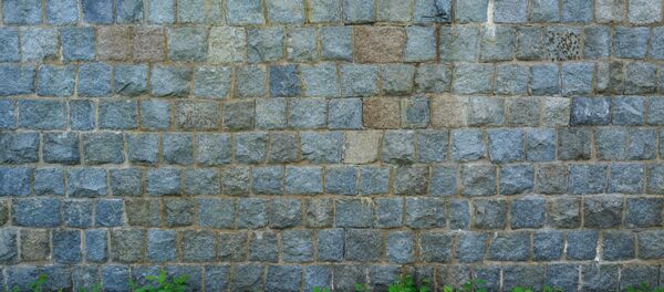 Un muro - Sputnik Mundo