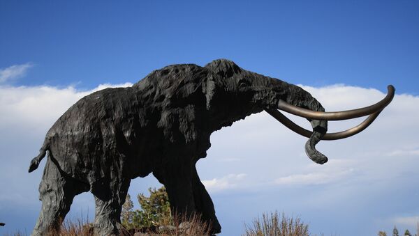 Un mamut - Sputnik Mundo