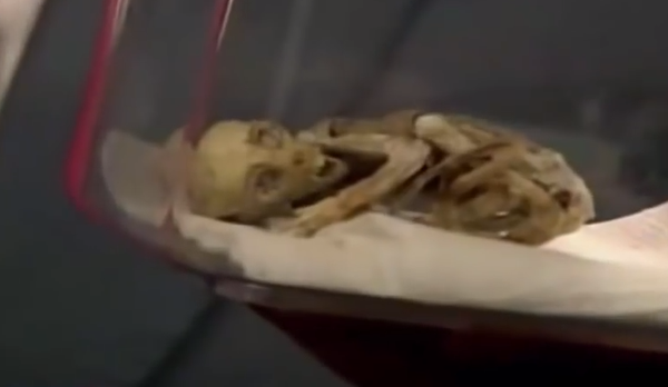 Vídeo: un ufólogo mexicano presenta el cuerpo de un 'extraterrestre' - Sputnik Mundo