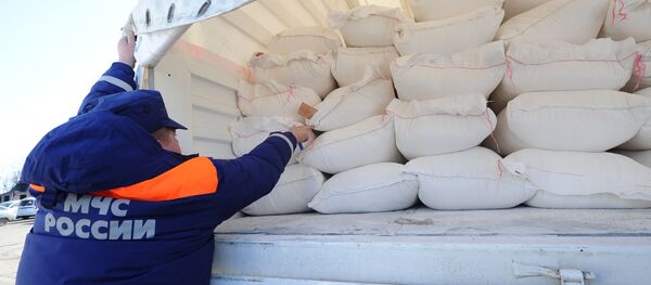 La harina de Rusia (arhcivo) La harina de Rusia (arhcivo) - Sputnik Mundo