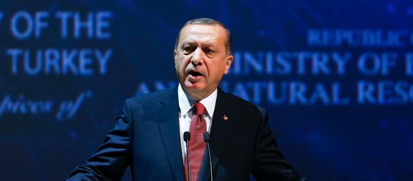 Recep Tayyip Erdogan, presidente de Turquía - Sputnik Mundo