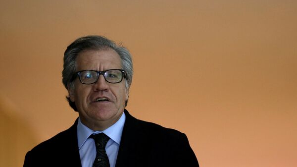 Luis Almagro, secretario general de la OEA (archivo) - Sputnik Mundo