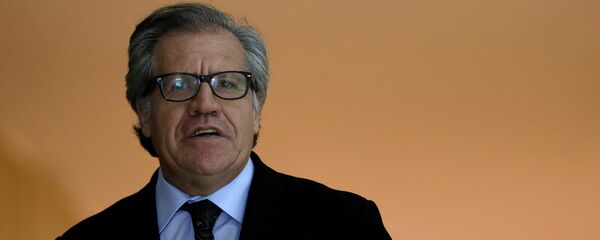 Luis Almagro, secretario general de la OEA (archivo) Luis Almagro, secretario general de la OEA (archivo) - Sputnik Mundo
