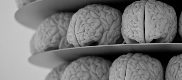 Cerebros - Sputnik Mundo