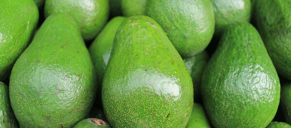 Aguacate - Sputnik Mundo
