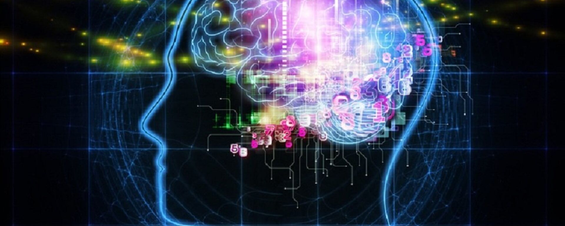 El cerebro (ilustración) - Sputnik Mundo, 1920, 13.10.2022