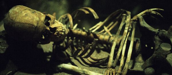 Un esqueleto - Sputnik Mundo