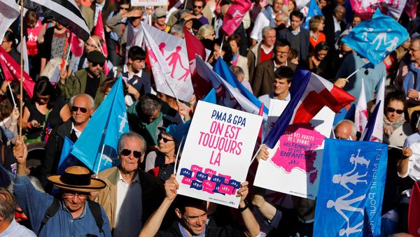 La gente ondea banderas y sostiene carteles con mensajes en la La Manif Pour Tous en París La gente ondea banderas y sostiene carteles con mensajes en la La Manif Pour Tous en París - Sputnik Mundo