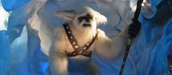 Yeti Yeti - Sputnik Mundo