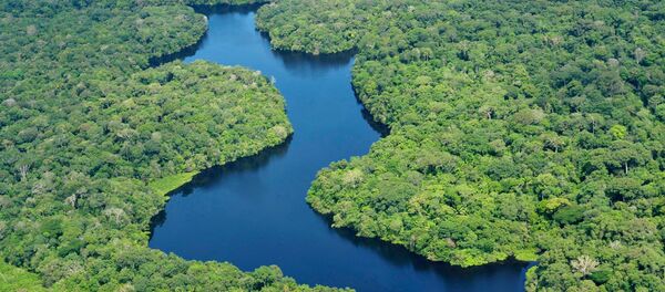 Amazonia (archivo) - Sputnik Mundo