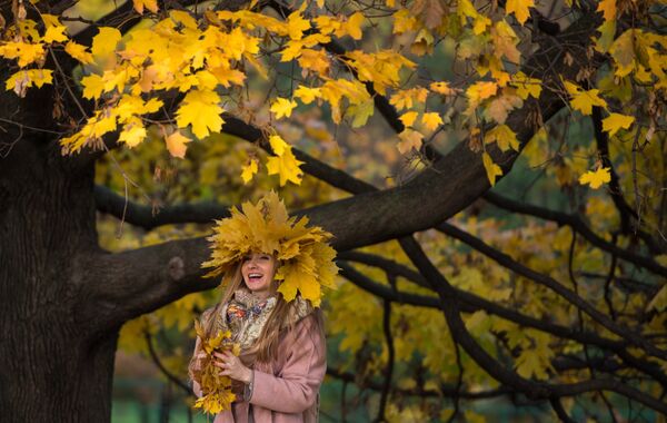 El 'Otoño de Oro' en los parques de Moscú - Sputnik Mundo